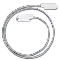 Siemon 25 Pair / 50 Pin Amphenol Cable