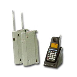 Avaya TransTalk 9031 Wireless System (Dual Zone)
