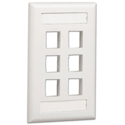 Panduit NetKey Single Gang Flush Mount Vertical Screw-on Faceplate with Labels