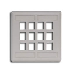 Hubbell IFP Double Gang Wall Plate - 12 Ports